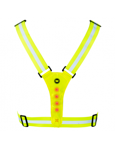 Laufgurt *Nokta Light Belt* mit LED