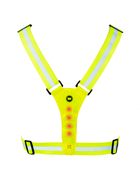 Laufgurt *Nokta Light Belt* mit LED