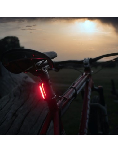 Moon Rücklicht CERBERUS 150 Lumen