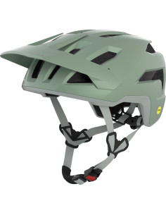willow green